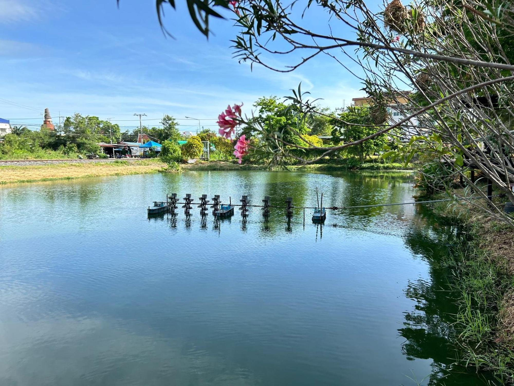 Dd Boutique Resort Ban Wat Pa Bagian luar foto
